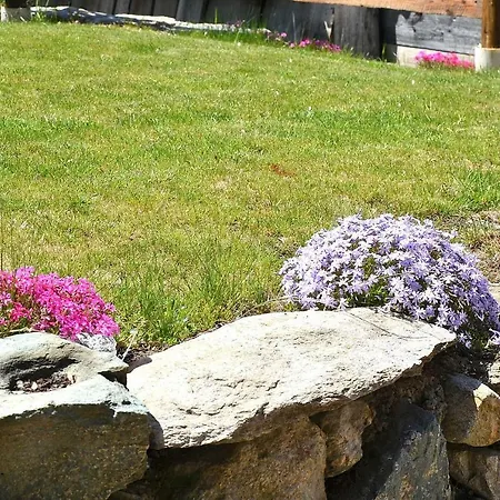 Con Giardino E Panorama Incantevole 펜션